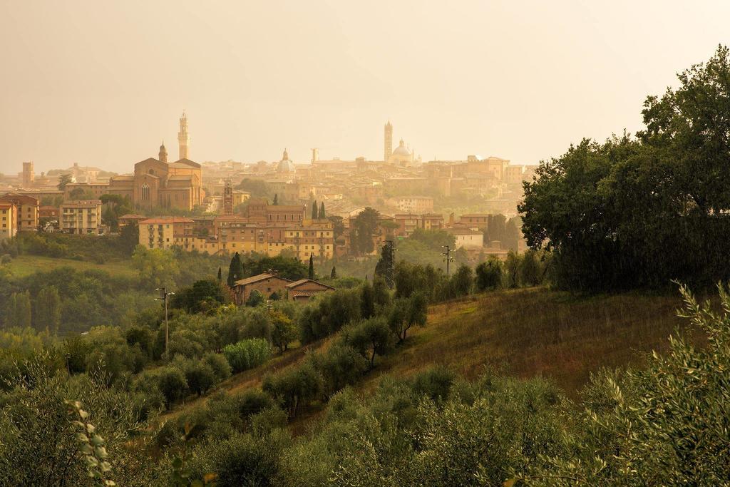 Agriturismo Colombino เซียนา ภายนอก รูปภาพ